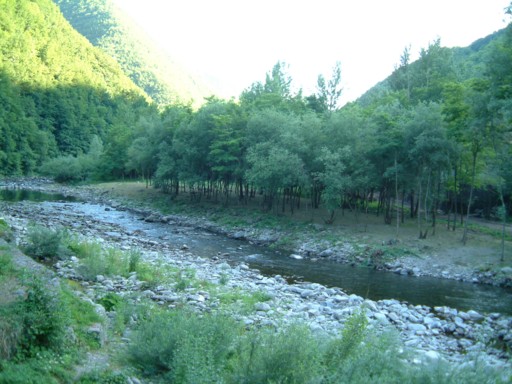  Image name: DSCF5663.JPG 
 width: 512 pixel 
 height: 384 pixel 
 Size: 66346 bytes 
 Click to enlarge 